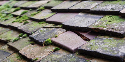 Alvington roof repair costs